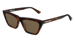 Havana 002 Frame | Brown None Lens