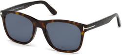 52D Dark Havana / Dark Havana Frame | smoke polarized smoke polarized Lens