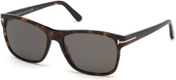 52D Dark Havana / Dark Havana Frame | smoke polarized smoke polarized Lens