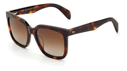 Havana Brown Frame | Brown Gradient Polz LA Lens