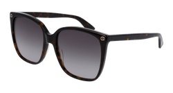 Havana 003 Frame | BROWN Lens