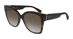 Havana/GOLD 002 Frame | BROWN Lens