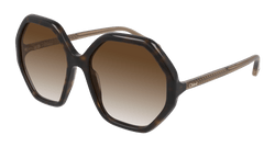 Havana/BROWN 004 Frame | BROWN Lens