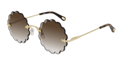 Gold 004 Frame | BROWN Lens