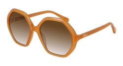 Orange 004 Frame | BROWN Lens