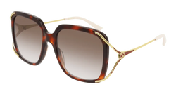 Havana/GOLD 002 Frame | BROWN Lens