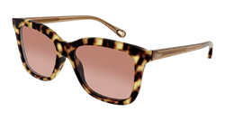 Havana/BROWN 001 Frame | ORANGE Lens