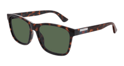 Havana 003 Frame | GREEN Lens