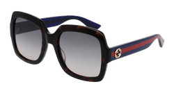 Havana/BLUE 004 Frame | BROWN Lens