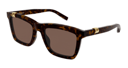 Havana 003 Frame | BROWN Lens