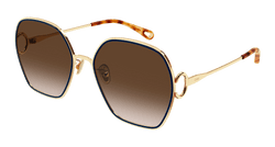 Gold 003 Frame | BROWN Lens