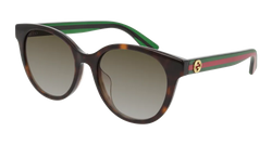 Havana/GREEN 003 Frame | BROWN Lens