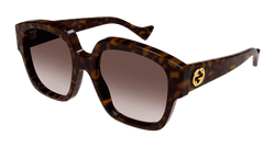 Havana 002 Frame | BROWN Lens