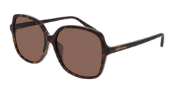 Havana 002 Frame | BROWN Lens