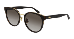 Havana 003 Frame | BROWN Lens