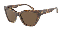 Shiny Brown Havana Frame | Brown Lens