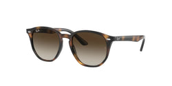 152/13 Havana Frame | Brown/Dark Brown Lens