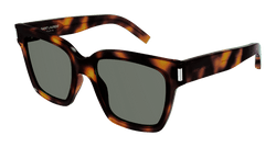 Havana 003 Frame | GREEN Lens