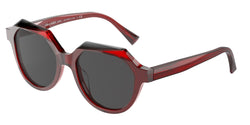 004/87 Point. Red / Red / Point. Blac Frame | Grey Lens