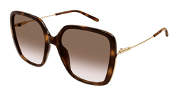 Havana/GOLD 002 Frame | BROWN Lens