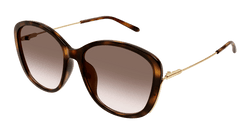 Havana/GOLD 002 Frame | BROWN Lens