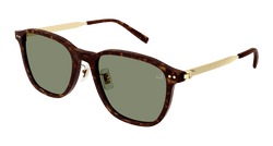 Havana/GOLD 003 Frame | GREEN Lens