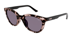 Havana/BLACK 002 Frame | VIOLET Lens