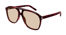 Havana 003 Frame | BROWN Lens