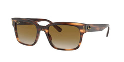 954/51 Striped Havana Frame | Light Brown Gradient Lens