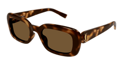 Havana 004 Frame | BROWN Lens