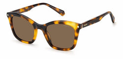 Havana Frame | Copper Polarized HE Lens