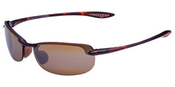 H405-10 Tortoise Frame | HCL Bronze Lens