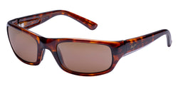 H103-10 Tortoise Frame | HCL Bronze Lens