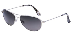 GS245-17 Silver Frame | Neutral Grey Lens