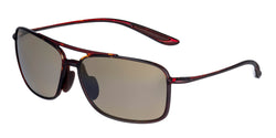 H437-10 Tortoise Frame | HCL Bronze Lens