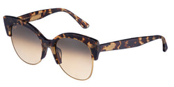 HS817-10L Tortoise With Gold Frame | HCL Bronze Lens