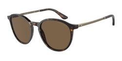 Havana Frame | Dark Brown Lens