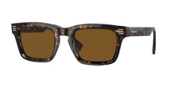 Dark Havana Frame | Brown Polar Lens