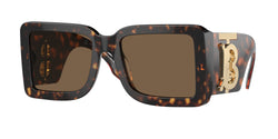 Dark Havana Frame | Dark Brown Lens