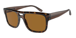 Havana Frame | Brown Polarized Lens