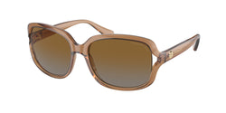 Transparent Brown Frame | Brown Grey Gradient Polar Lens