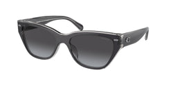 Black / Transparent Grey Frame | Grey Gradient Lens