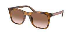 Dark Tortoise Frame | Brown Pink Gradient Lens