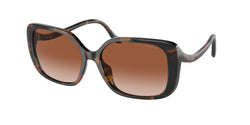 Dark Tortoise Frame | Brown Peach Gradient Lens