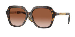 Dark Havana Frame | Brown Gradient Lens