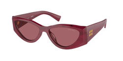 Striped Bordeaux Frame | Dark Violet Lens