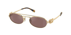 Pale Gold Frame | Brown Silver Lens