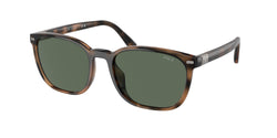 Shiny Havana Frame | Bottle Green Lens