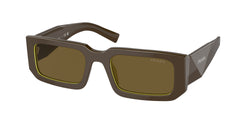 Loden / Cedar Frame | Dark Brown Lens