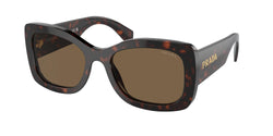 Briar Tortoise Frame | Dark Brown Polarized Lens